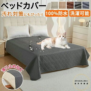 xbhJo[ h  xbhXvbh }bgXJo[ }`Jo[ Lg \t@Jo[ VO _u Z~_u 􂦂 I[V[Y ybg @\ h~ ͗lւ 