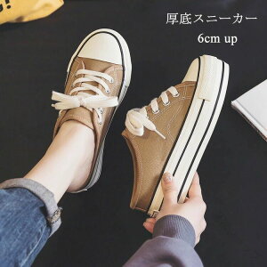 Xj[J[ ƂȂ fB[X 6cm y  Xb| T_Xj[J[ Ȃ Ȃ   ₷ ɂȂ wlC LoX ؍ r gAbv 