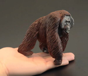 A  tBMA {lIIE[^ 쒷 ͌^ ~j`A  q mߋ  쐶 Aj} ̐} CeA v[g RNV F iA