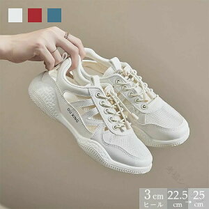 bVXj[J[ fB[X T_Xj[J[ i  JWA X^CbV Vv R[f f[g ʊw s AEghA ʋ A ItBX NbV tb