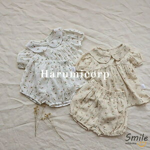 ZbgAbv LbY xr[ ̎q j̎q   Vbgpc q [EFA ㉺Zbg V Ԃ  pW}   a oYj v[g 