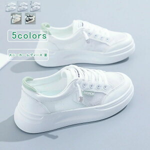 Xj[J[ fB[X bV [XAbv [Jbg  Xb| X|[c r ʋC ₷ Ȃ Vv y ʋ ʊw    