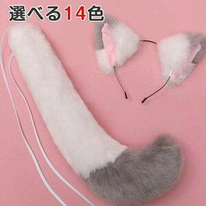 L ϑ   RXv w K   ˎ Cxg t ӂӂ Zbg jp  b _X   Ղ  J`[V K  K RX