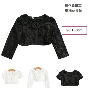 q { tH[}{ qp P[v HD ̎q q   J[fBK [X  hX K[Y \  t w Ǝ i RT[g ܎O