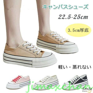V Ƃ߂  Xj[J[ fB[X LoX y 2WAY ؍ Xj[J[ 3.5cmUP [Jbg r Xb|Xj[J[ _炩 r