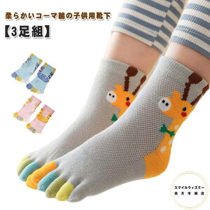 y3gzq C qpܖ{w\bNX LbY bV V[g\bNX ʋC  j̎q ̎q X|[c\bNX WjA 5{w JgD[   g   