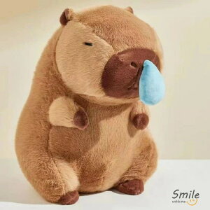 ʂ Jso @o  ʂ ̂ʂ  Jso  킢 _炩 p  l` jv[g 24cm  NX}X 