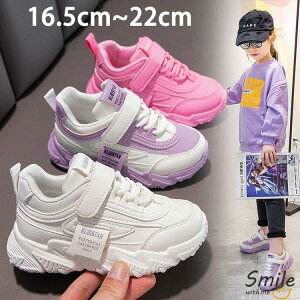 LbYV[Y _X Xj[J[ _bhXj[J[ ^C }WbNe[v y [Jbg bV JWAV[Y  w ʉ ʊw K o qC LbY_Xߑ 