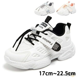 Xj[J[ qbvzbv _XV[Y X|[cC fB[X Xj[J[ _bhV[Y ^C ̎q jOV[Y qC L b `A_Xl _XC ʉ ʊw w 