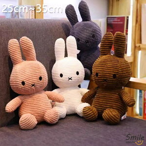 ʂ  A e  ̐l` D a Ă閍   l`̑i fXN 25cm 35cm   ʂ  _ Mtg _炩