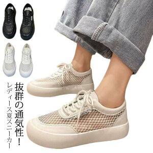 킢 Vv bVV[Y t JWA  ^C  fB[X [Jbg y JWAV[Y n  ₷ C ʋC EH[LOV[Y bVV