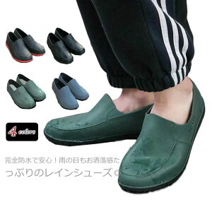 CV[Y Y Sh Xb| Xj[J[ hC V[Y CXb| JC Jp C o[u[c hh Cu[c ʋΒʊw _ | d y