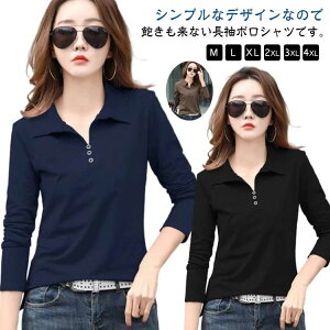 |Vc fB[X  |TVc Jbg\[ gbvX VlbN  |Vc ݕt Vc ^Cg XLbp[Vc n Ƃ XLbp[ ^Cg X OL ʋ ʊw rWlX