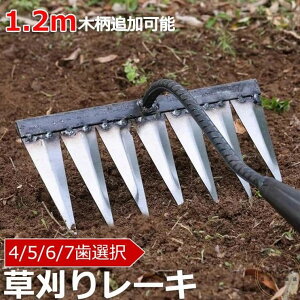 L ւn 背[L  @ c̍k X`[ 4/5/6/7{    ֗ ObY ƒ؉ Ő  G  G ؉L X`[ L 4{L[L 