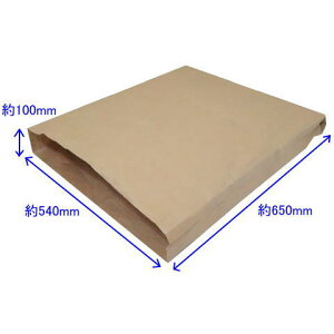 宅配袋 540×100×650 特大 100枚 内側PEクロス 業務用 出荷袋 集荷袋 梱包袋 包装袋 運送袋 収納袋