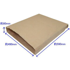 宅配袋 490×80×590 特大 100枚 内側PEクロス 業務用 出荷袋 集荷袋 梱包袋 包装袋 運送袋 収納袋