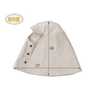 zYL(10)  ڂX 46cm×57cm LTCY CAN 201 xmO[u
