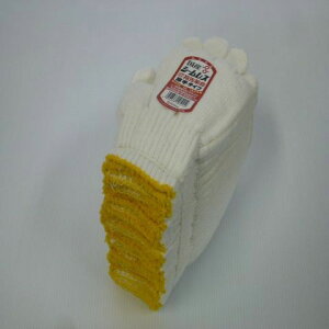 YV[XR(60_[X) VmR ~^jR[|[V