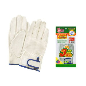 ؔ烌CW[AeȂ3o10(30o) xmO[u No 3 232  v  ܂Ƃߔ   TIG n S S  H SH H vX    vg  