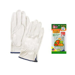 ؔV{3o10(30o) xmO[u No 3 235  v  ܂Ƃߔ   TIG n S S  H SH H vX    vg  ؒf  @B