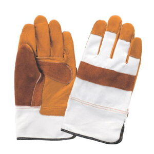 Dp(10o) Dp 灕bz hzgp Aet [v⃏C[ƂɍœKłI xmO[u