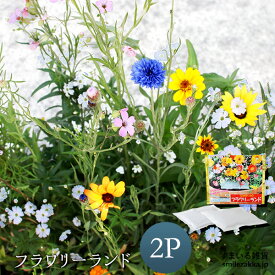 【公式店】】フラワリーランド(2パック)【ガーデニング/花/種】【植えっぱなしで次々咲く