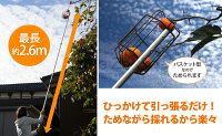 【9/15発売新商品】お庭の柿採りバスケット/柿取り棒/柿取り器/アーネスト株式会社/ArnestInc./