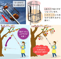 【新商品】お庭の柿採りバスケット/柿取り棒/柿取り器/アーネスト株式会社/ArnestInc./