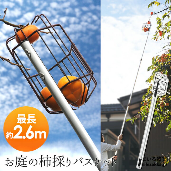 楽天市場】お庭の柿採りバスケット柿取り棒 柿取り器 くだもの 収穫 柿 