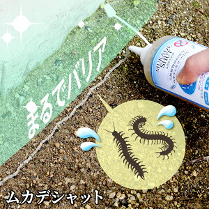 y272܂P5{zyXzJfVbg ނ V ނ  Q  悯  t