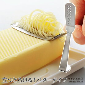 立つとろける！バターナイフ 【公式店】とろける！バターナイフ バターナイフ スプレッドナイフ 燕三条 日本製 バタースプーン スプレッド 細め ふわふわ フワフワ おろし おろし金 アーネスト