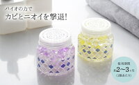 【6/25発売新商品】防カビ・消臭バイオタイル柄2個組