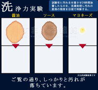 エコサターン