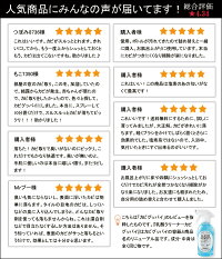 乳酸クリーナーカビグッバイ500ml