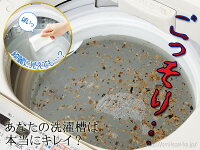 洗濯槽キレイサッパリ50g小分けパック12個入り