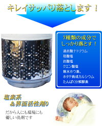 洗濯槽キレイサッパリ50g小分けパック12個入り