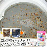 洗濯槽キレイサッパリ50g小分けパック12個入り