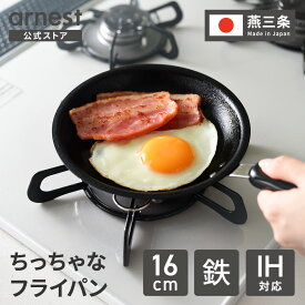 【公式店】 ちっちゃな鉄フライパン 16cm IH対応 日本製 高品質 ミニフライパン 一人暮らし お弁当 ちょい使い エンボス くっつきにくい シーズニング 鉄製フライパン アウトドア アーネスト 父の日