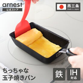 ちっちゃな 玉子焼きパン 卵焼きパン 鉄フライパン IH対応 日本製 燕三条 鉄製フライパン ミニサイズ 卵焼き 玉子焼き お弁当 父の日