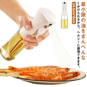 ICXv[ ICXv[ƃVR[ICuV2_Zbg 300ml IC IC{g   GR wV[ T_ pX^  KX  Lb` J[ ē {g 