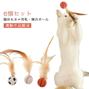  L e̓{[ 6Zbg e {[ ˂  L̊ߋ H  ^s XgX ybg Lbg LI` L炵 ߋ LObY