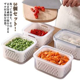 冷蔵庫 水切り 野菜ストッカー ザル付き 保存容器 食品保存容器 野菜 冷蔵庫収納ボックス 冷蔵庫収納ケース 整理 蓋付き キッチン収納ケース 冷蔵庫整理ケース 野菜 保存 収納ストッカー