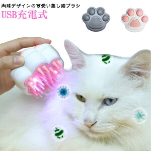 犬くし 蒸し猫ブラシ USB充電式 猫くし スリッカーブラシ 猫ブラシ 犬用ブラシ マッサージ 猫蒸しブラシ 抜け毛取り コーム 丸洗い可能 液体注入口付き ペットグルーミングブラシ 噴霧式 犬