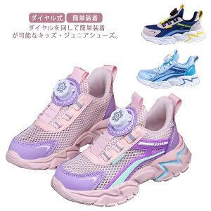 Xj[J[ q LbY WjA _C V[Y j̎q ̎q qǂp ǂ C _C ^C ʉ ʊw RȂ ȒP  w jO X|[c y bV 