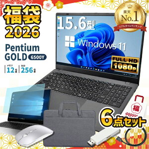 �y�y�V1�ʁz�m�[�g�p�\�R�� �V�i ���� 6�_�Z�b�g PASOUL NC15J 15.6�C���` �t��HD Intel Pentium GOLD 6500Y ������12GB SSD256GB Windows11 WPS Office�t�� �����ݒ�ς� �m�[�gPC ���S�� �w�� �ݑ�[�N �e���L�[ Wi