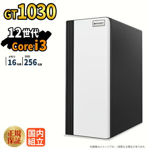 �Q�[�~���OPC �{�̂̂� GT1030 ��12���� Intel Corei3 12100F ������16GB SSD256GB Windows11 �f�X�N�g�b�vPC �V�i 1�N�ۏ� 4�R�A8�X���b�h NVMe M.2 SSD 80Plus 550W�d�� �z�M ����ҏW VTuber e�X�|�[�c �����\ ���S�� 