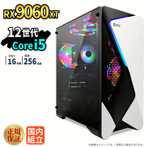 �_18�����艿�i�^�Q�[�~���OPC �V�i �{�̂̂� RX9060XT ��12���� Intel Corei5 12400F ������16GB SSD256GB Windows11 �f�X�N�g�b�vPC 1�N�ۏ� NVMe M.2 SSD �����\ �T�N�T�N �z�M ����ҏW VTuber�Ή� e�X�|�[�c ���S