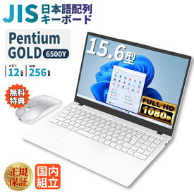 ＼18日限定価格／ノートパソコン 新品 Intel Pentium GOLD 6500Y メモリ12GB SSD256GB Windows11 WPS Office付き 初期設定済み 15.6インチ フルHD ノートPC 初心者 学生 在宅ワーク テンキー Wi-Fi Bluetooth HDMI 日本語キーボード 安い ホワイト 白