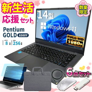 �_10���܂Ō��艿�i�^�V�������� 6�_�Z�b�g �m�[�g�p�\�R�� �p�\�R�� �V�i �m�[�gPC Intel Pentium GOLD 6500Y WPS office�t�� CPU���� ������8GB SSD 256GB 14�C���` �t��HD HDMI USB3.0 ����LAN Wifi Windows11 office JIS