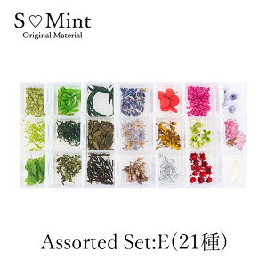 [40%OFF!] lC hCt[ nhChy21A\[gZbg(S5^Cv) zGX~g lCA[g i` i   hCt[ ԃlC ԍ p[c l